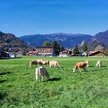 Hotel Jungfrau Wilderswil