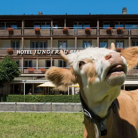 Hotel Jungfrau Wilderswil