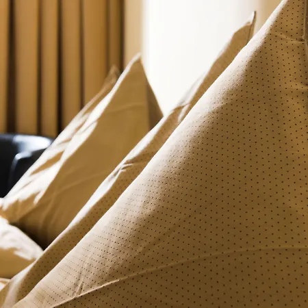 Jungfrau Hotel Wilderswil