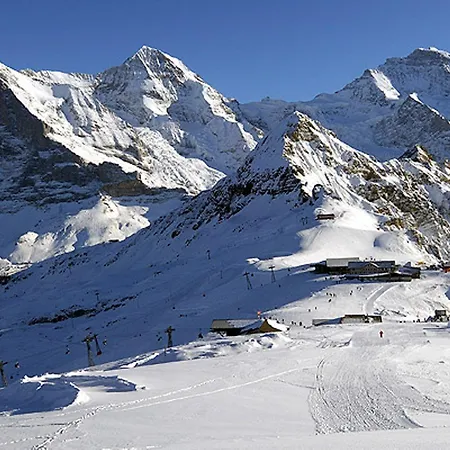 Hotel Jungfrau Wilderswil