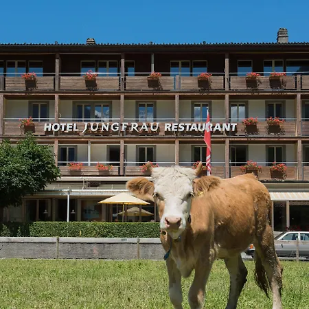 Hotel Jungfrau 3*