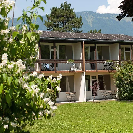 Jungfrau Wilderswil