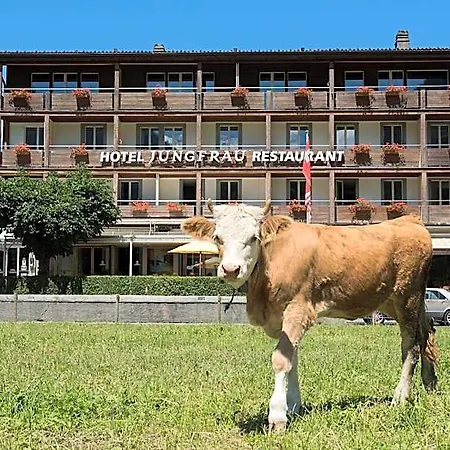 Jungfrau 3* Wilderswil