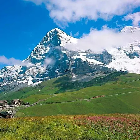 Jungfrau Hotel