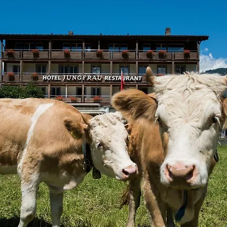 ユングフラウ 3*