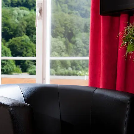 Hotel Jungfrau Wilderswil