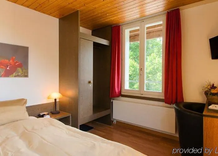 Hotel Jungfrau 3*