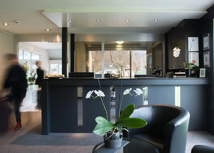 ユングフラウ 3* ヴィルダースヴィル