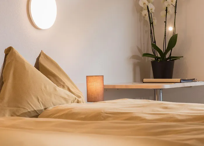 圣母峰酒店 酒店 维尔德斯韦尔