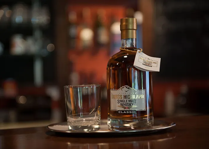 ホテル ユングフラウ ヴィルダースヴィル