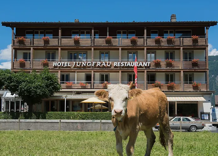 Hotel Jungfrau 3*