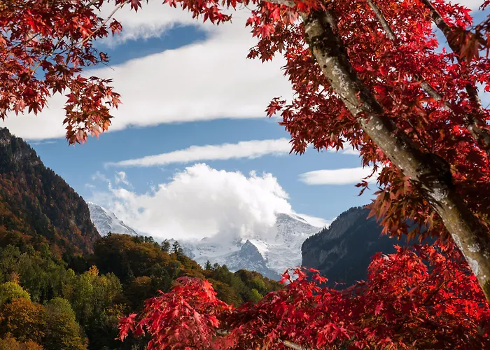 酒店 圣母峰酒店 3*
