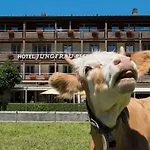 Hotel Jungfrau Wilderswil