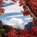 Hotel Jungfrau 3*
