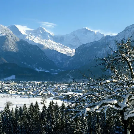 Jungfrau Wilderswil