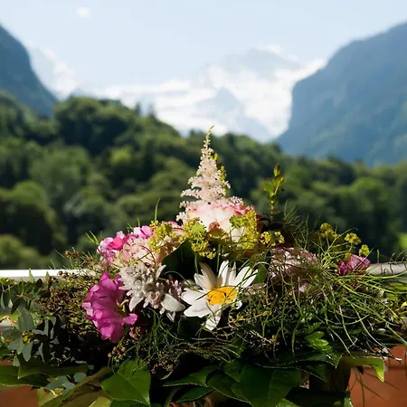 Jungfrau Hotel 3*