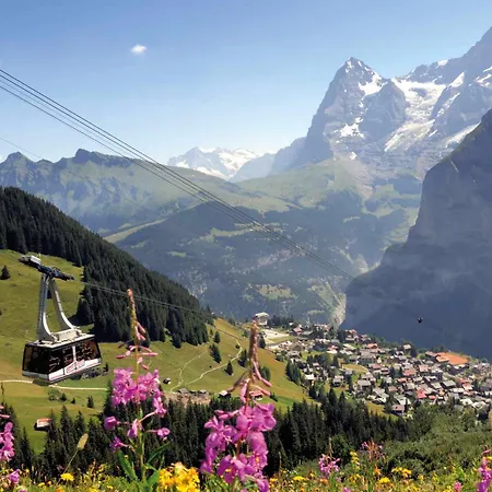 Jungfrau Hotel