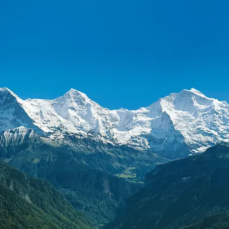 Hotel Jungfrau Wilderswil