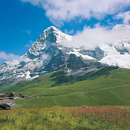 Jungfrau Hotel Wilderswil