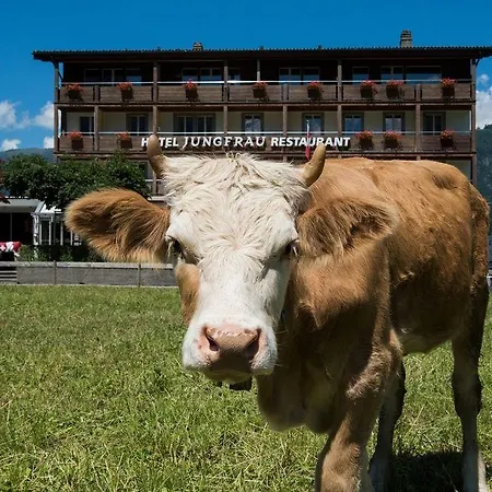 Jungfrau 3*