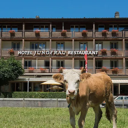 Jungfrau Hotel 3*