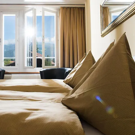 Jungfrau Hotel 3*