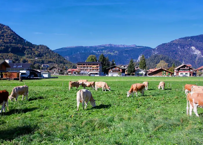 Hotel Jungfrau Wilderswil