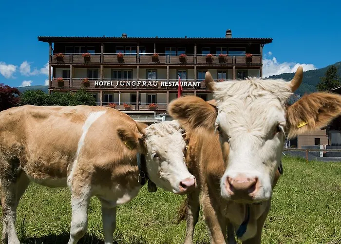 Jungfrau 3*