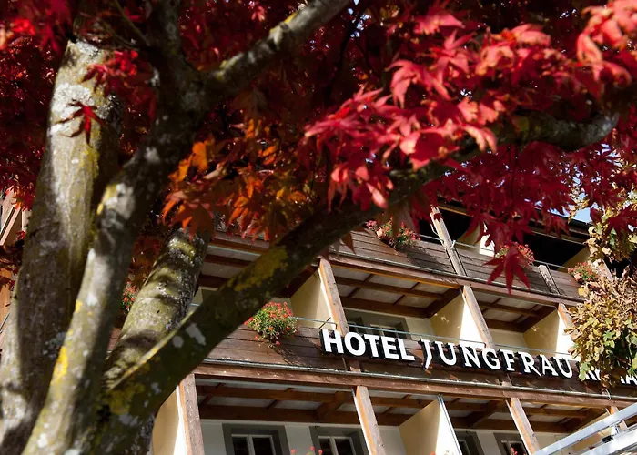 Jungfrau 3* Wilderswil