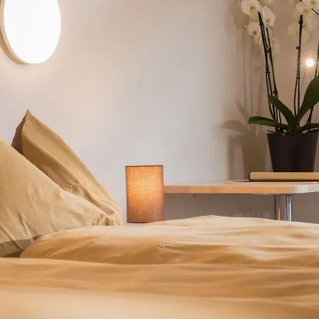 Jungfrau Hotel Wilderswil