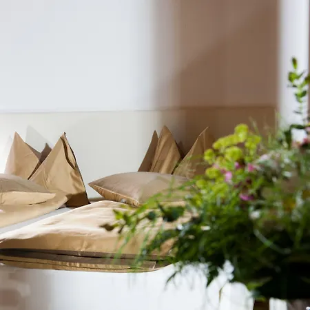 Hotel Jungfrau Wilderswil