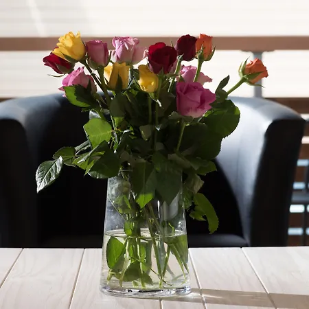 Jungfrau 3* Wilderswil