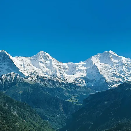 Szálloda Jungfrau Wilderswil