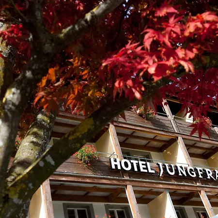 Jungfrau 3* Wilderswil