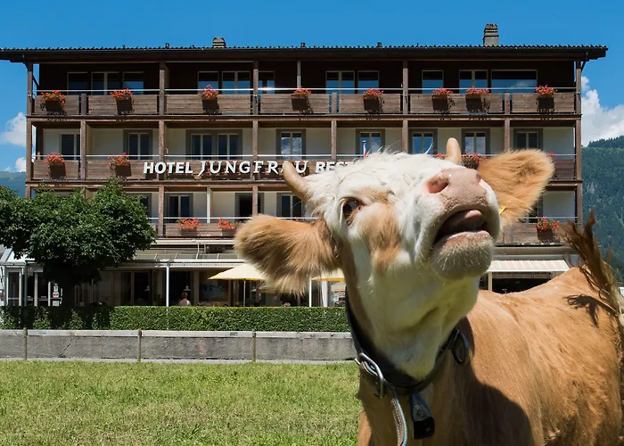 Hotel Jungfrau Wilderswil