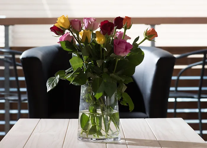 Jungfrau 3* Wilderswil